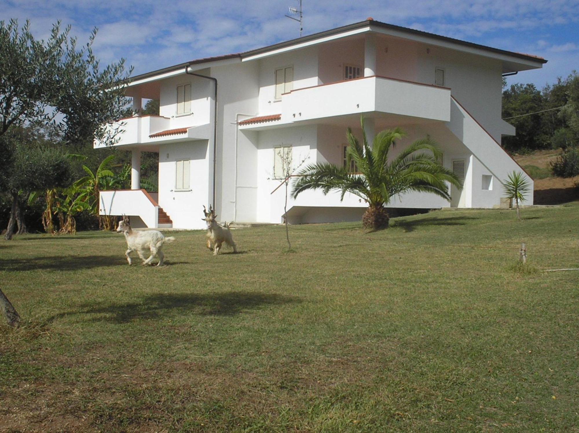 Agriturismo Seaview Капо Ватикано Екстериор снимка